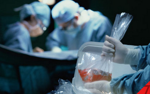 Новый закон о трансплантации: закон для мертвых или для живых?