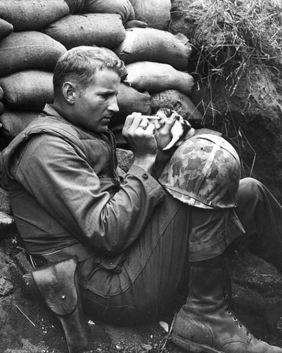 Спасение котенка во время войны. Несмотря на все ужасы войны, этот солдат нашел время покормить из пипетки котенка.