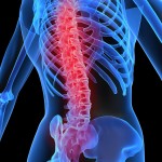 Красноярские ученые совершили прорыв в лечении полного анатомического разрыва спинного мозга