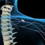 Австралийские ученые, работают над бионизацией травм спинного мозга