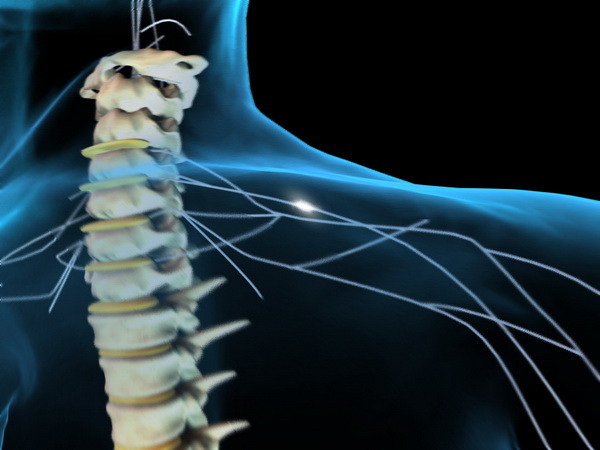 Австралийские ученые, работают над бионизацией травм спинного мозга