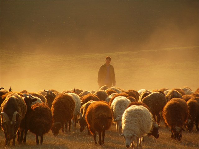 Колонка Ника Вуйчича: Пастух и овцы