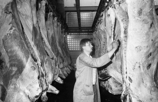 CHERNOBYL EFFECTS MEAT CONTROL IN GERMANY