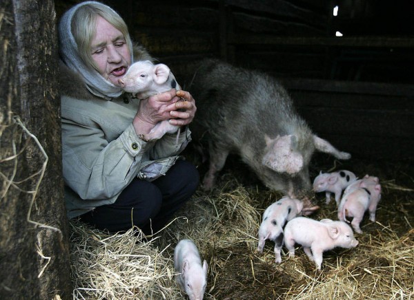 A woman plays with her pigs in the deser
