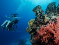 Под водой на … инвалидной коляске! (+Видео)