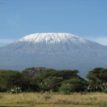 В душевной компании взойти на Килиманджаро