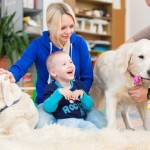 Особый ребенок и собаки. Репортаж из центра канис-терапии