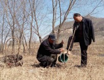 Два друга с инвалидностью посадили около 12 тысяч деревьев в Китае