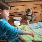 Задушевная дружба 5-летней девочки, страдающей аутизмом, и её терапевтической кошки