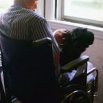 Правительство изменило правила, по которым человека признают инвалидом