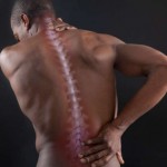 Ученые из Казани разработали метод восстановления спинного мозга после травм